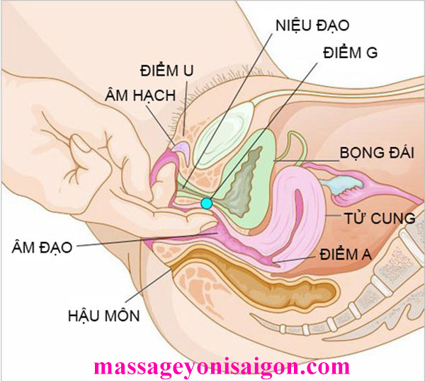 Massage Nữ Tại Nhà Tphcm - Massage Yoni